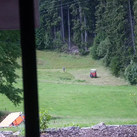 Apartment Tannenhof Schluchsee