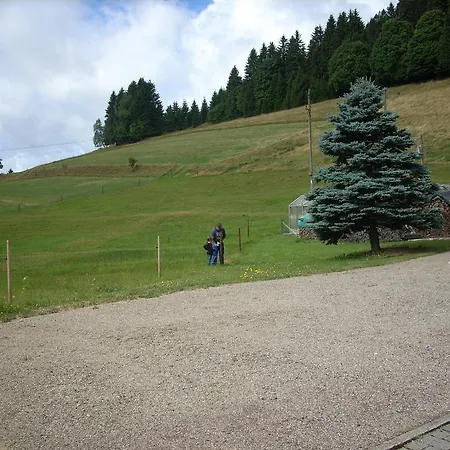 Tannenhof Daire *