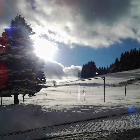 Tannenhof Daire Schluchsee