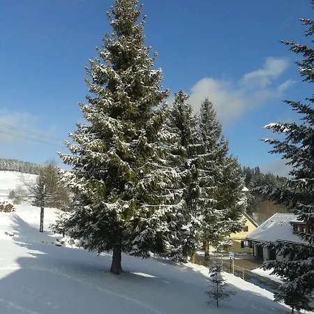 Tannenhof Daire *
